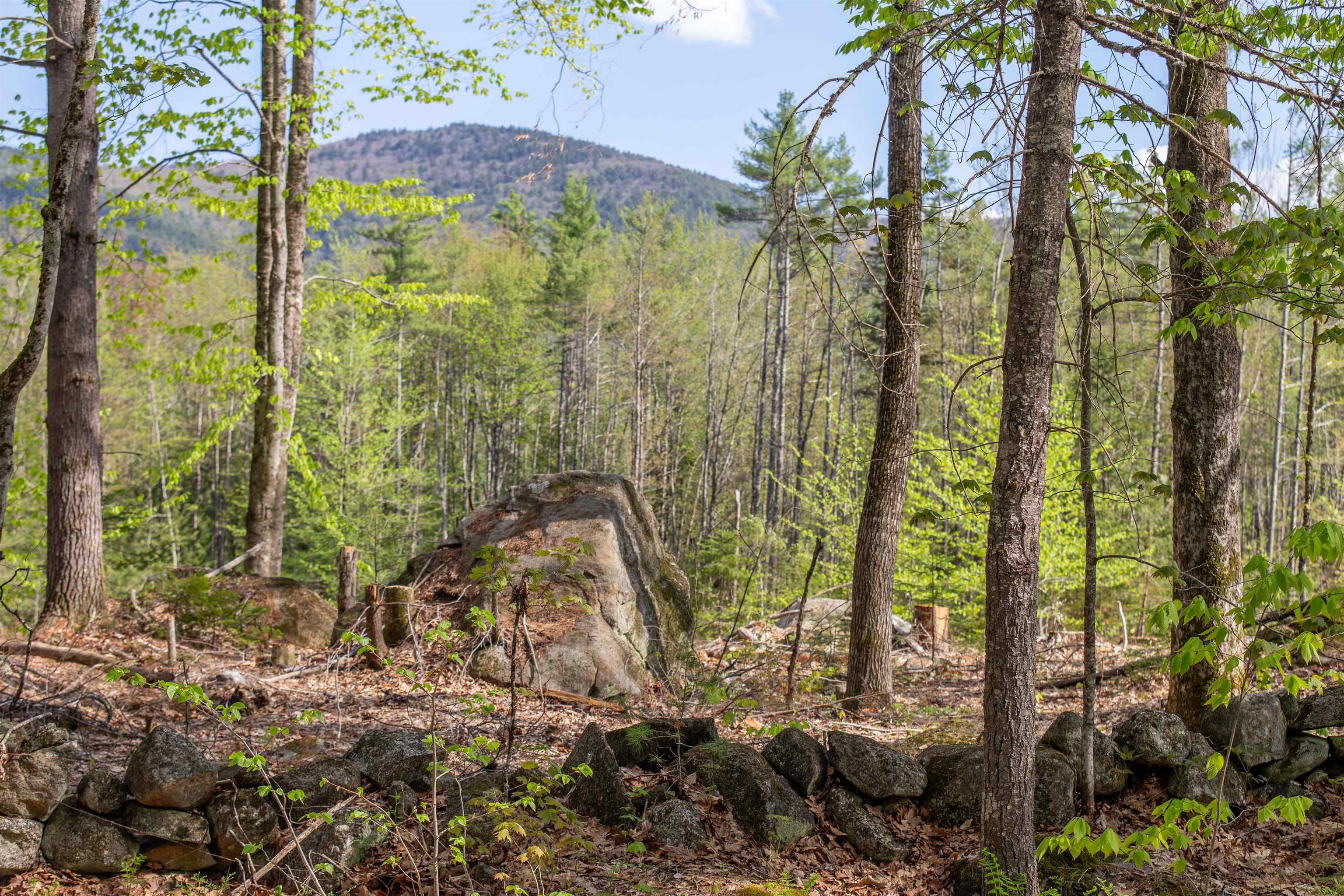 0 Elijah Beede Road Sandwich, NH 03227 - Photo 10 of 28