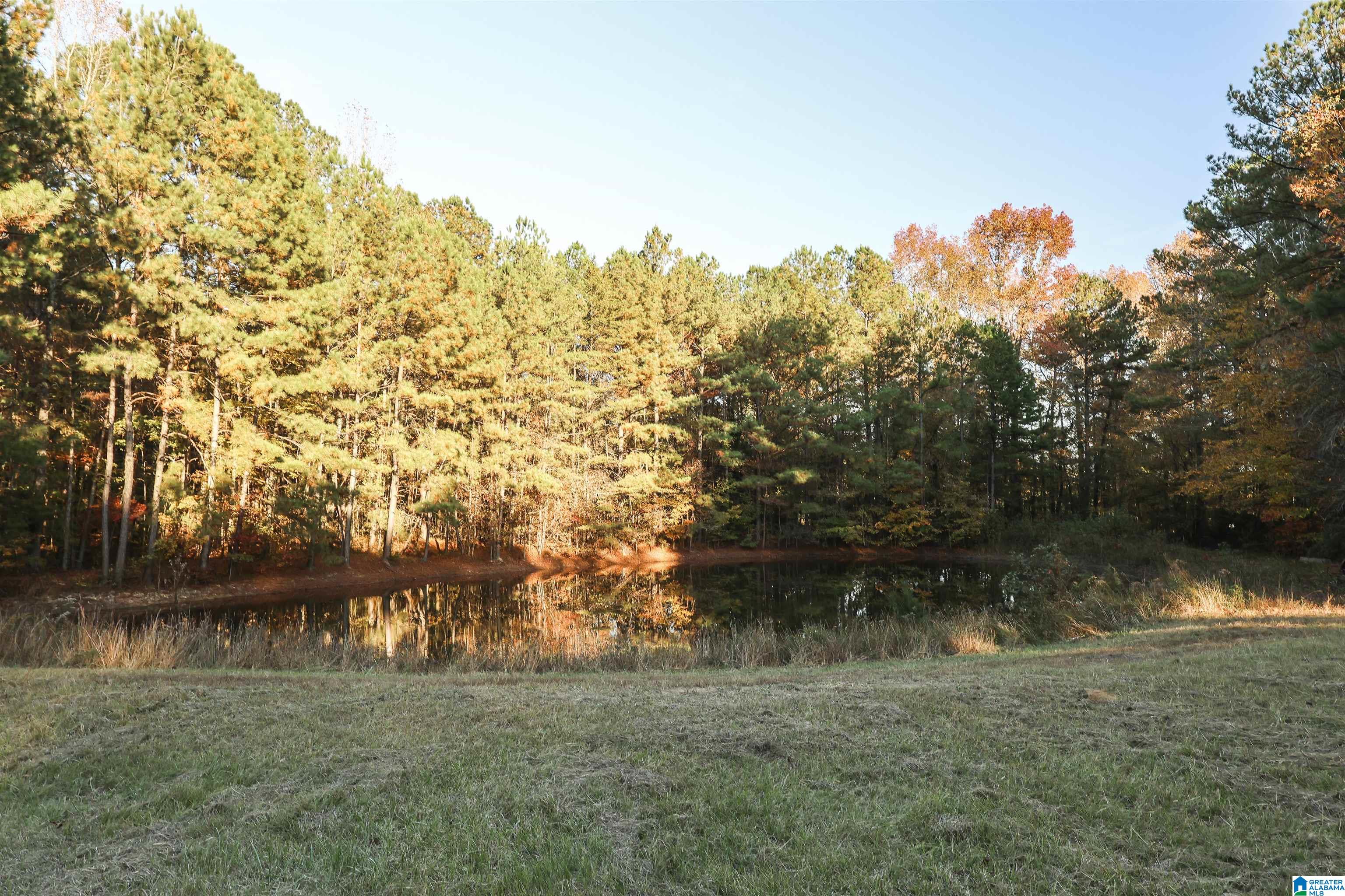 4465 Choccolocco Road Anniston, AL 36207 - Photo 57 of 97