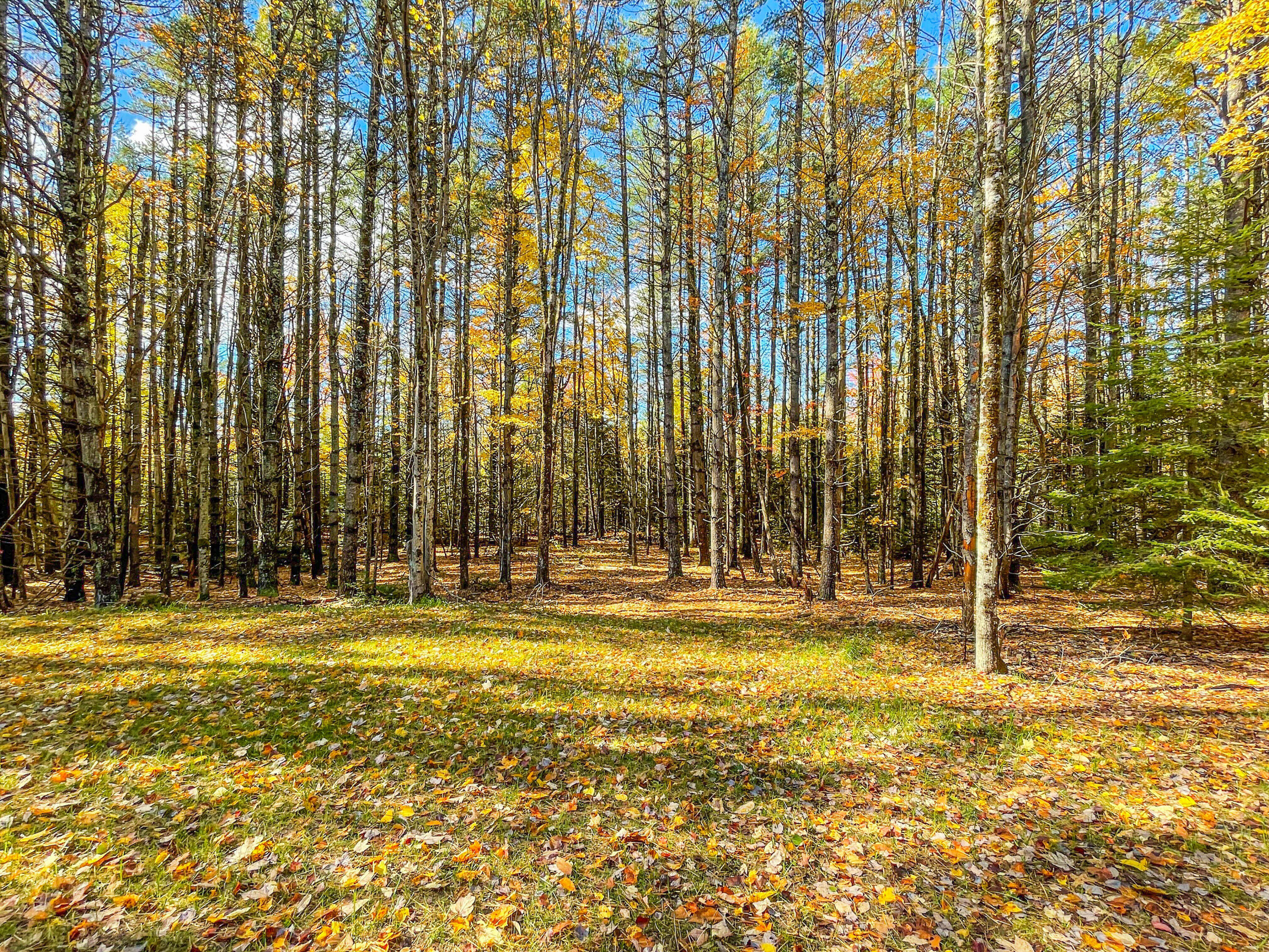 863 Naples Road Harrison, ME 04040 - Photo 45 of 62 863 Naples Rd Harrison -56