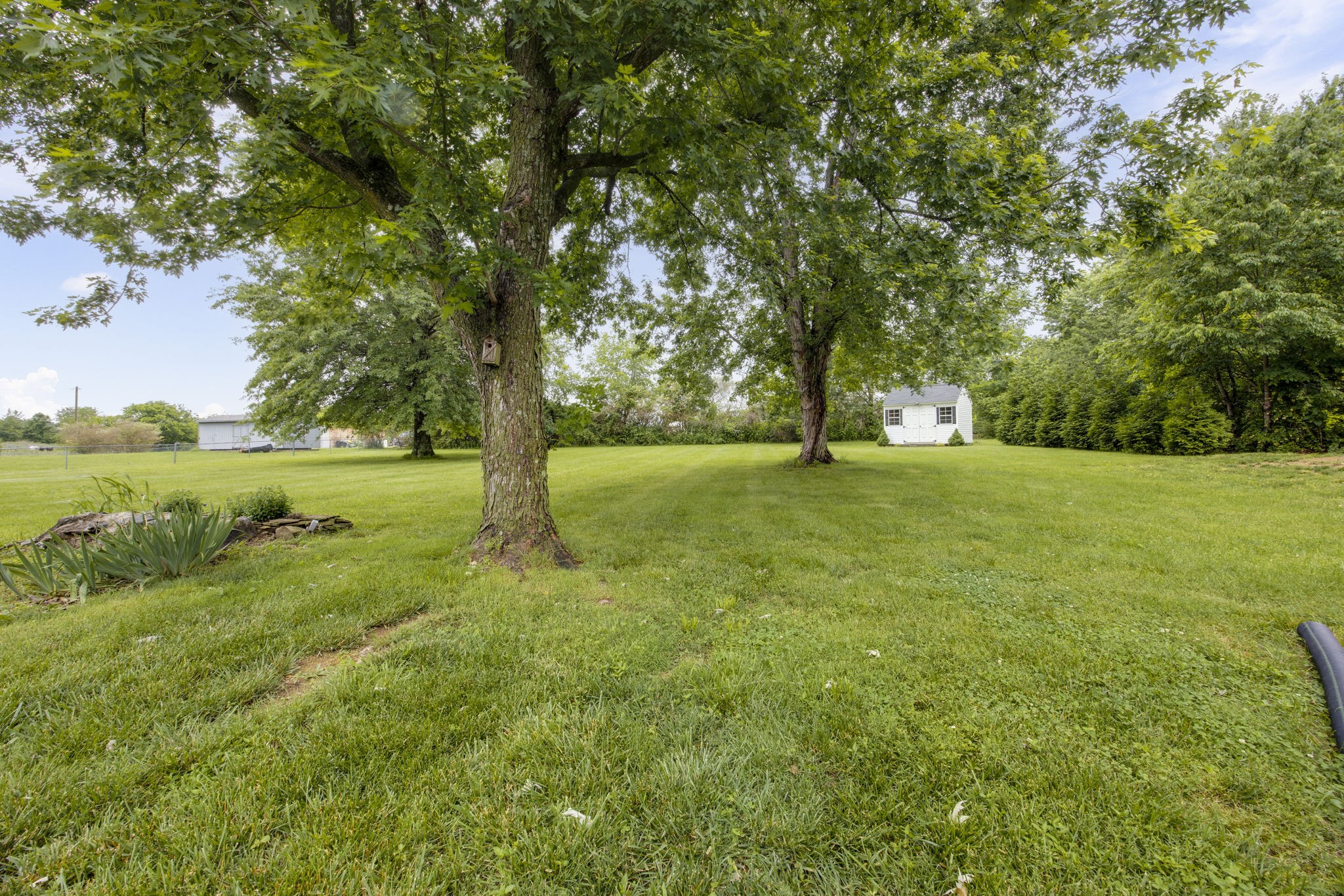 5661 Dixon Road Cross Plains, TN 37049 - Photo 33 of 39 Gallery Image 33
