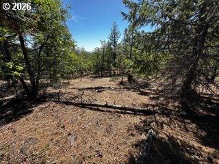 2 Orchard Heights Road Goldendale, WA 98620 - Photo 2 of 13 Gallery Image 2