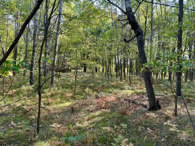 $8,900 | 6742 Abbey Lane, Stanwood, MI 49346