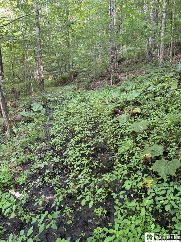 2045 Baxter Mills Road Ischua, NY 14743 - Photo 16 of 44 Gallery Image 16