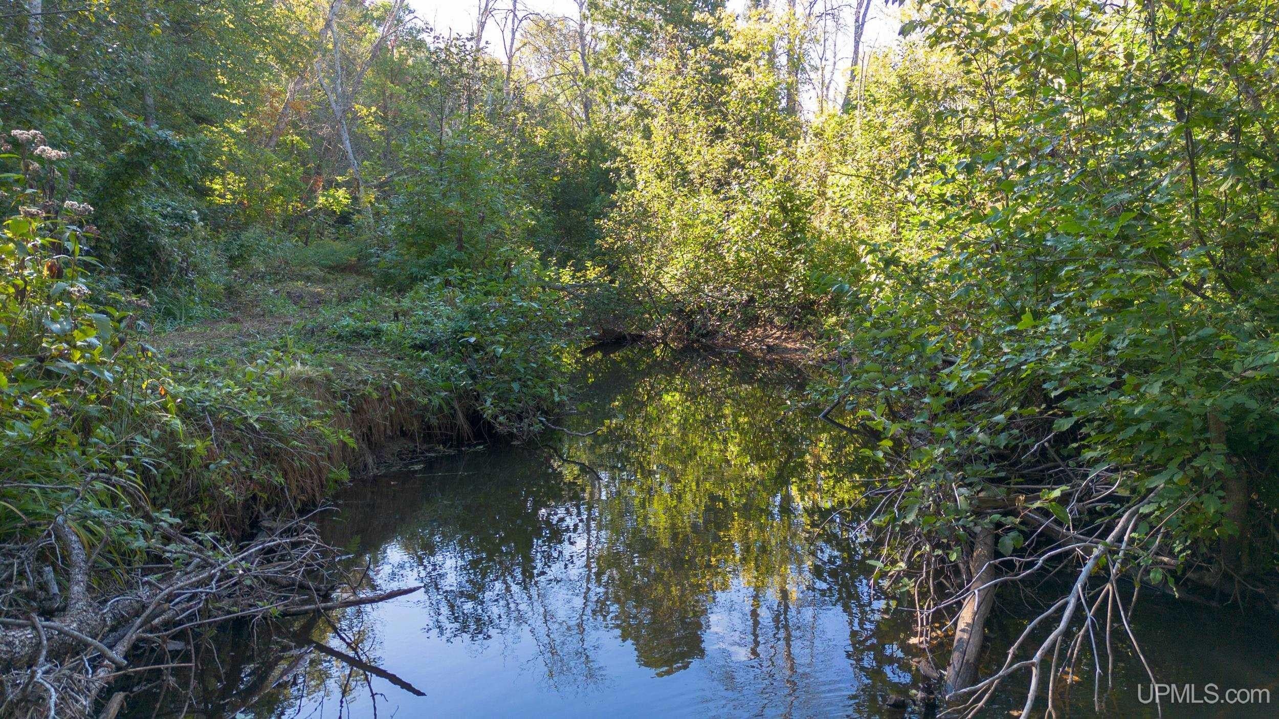1375 Mangum Road Deerton, MI 49822 - Photo 42 of 87 Gallery Image 42