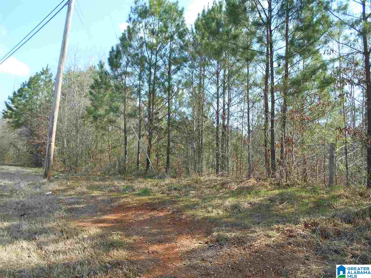 K D Byrd Station Road, Unit 30 Quinton, AL 35130 - Photo 4 of 5