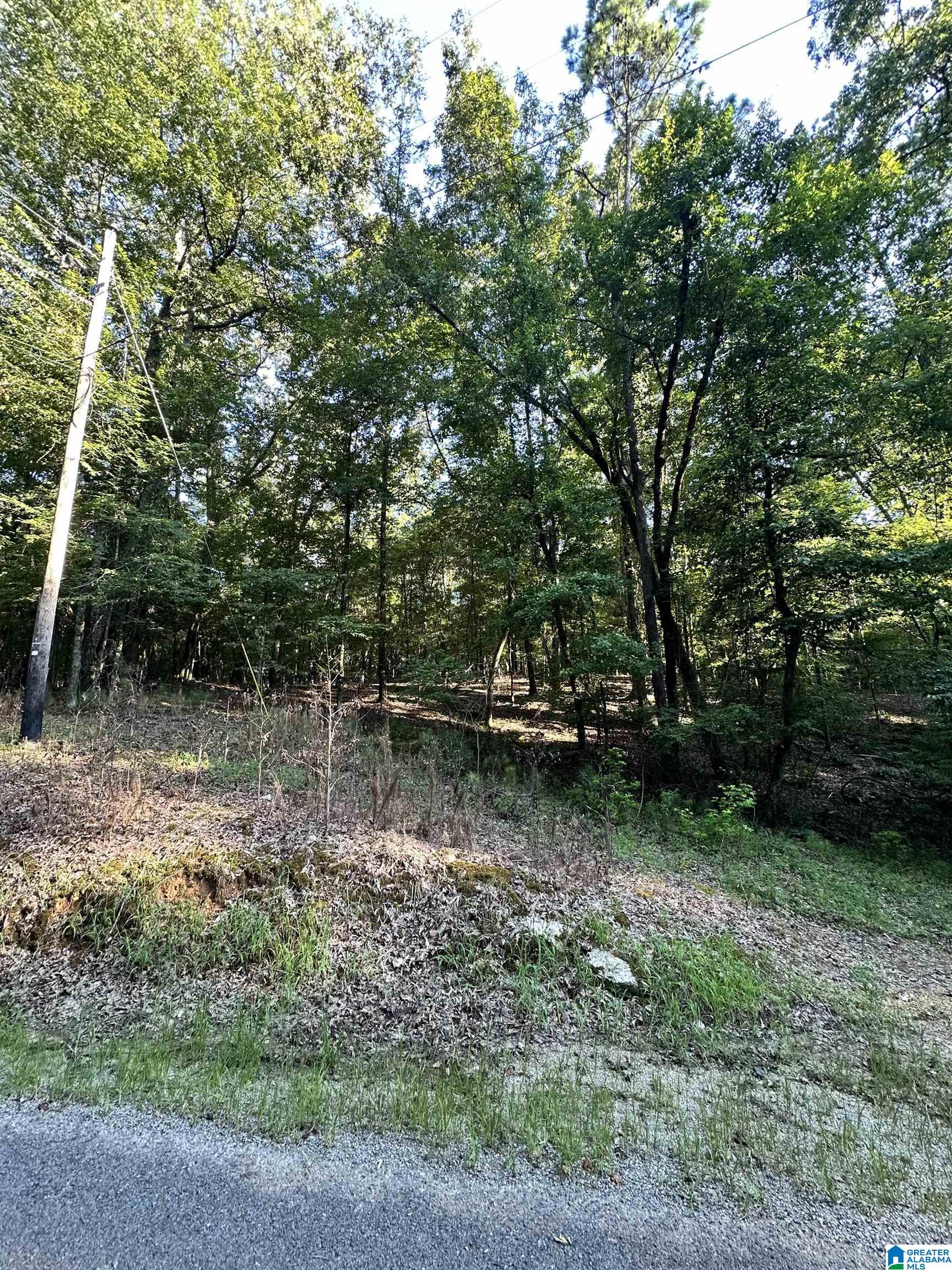500 Black Acres Road, Unit 27 Cropwell, AL 35054 - Photo 2 of 25