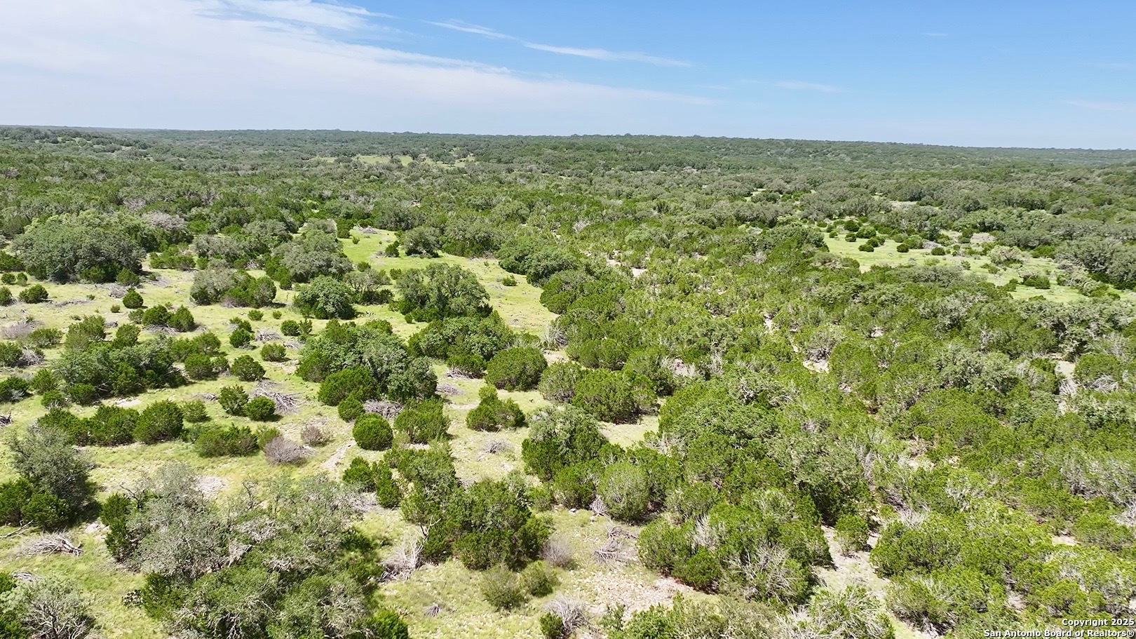 104 SD 14070 Rocksprings, TX 78880 - Photo 31 of 71 a view of a green field with lots of bushes