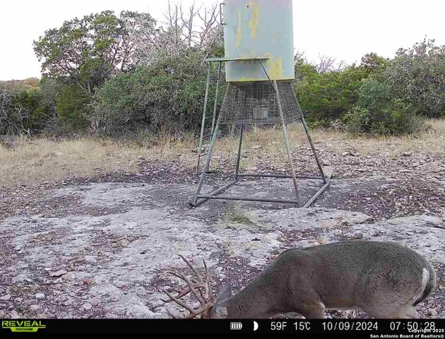 a view of a bench in a garden