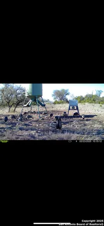 a view of a lake with a yard