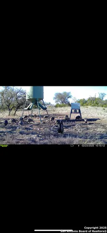 a view of a lake with a yard