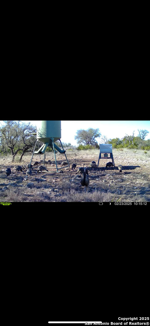104 SD 14070 Rocksprings, TX 78880 - Photo 36 of 71