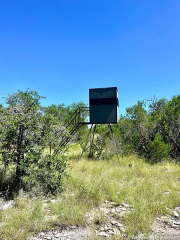 a backyard of a house with lawn chairs plants and large tree