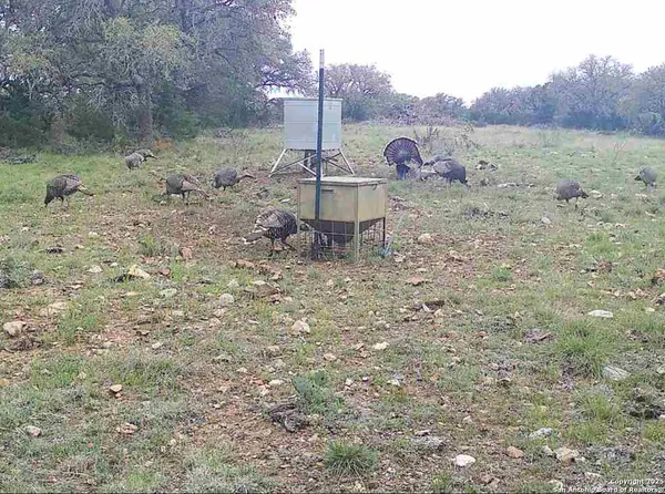 a view of a wooden bench sitting in a park