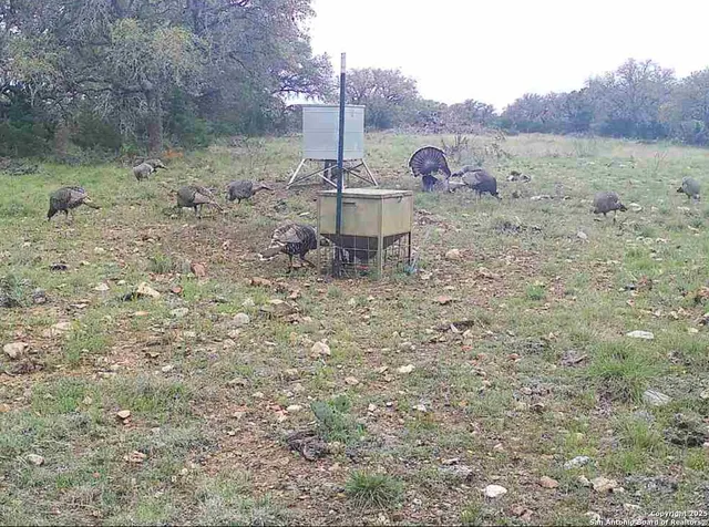 a view of a wooden bench sitting in a park