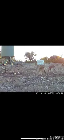 $5,722,800 | 104 SD 14070, Rocksprings, TX 78880