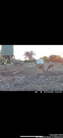 $5,722,800 | 104 SD 14070, Rocksprings, TX 78880