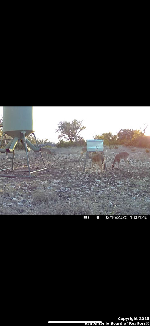 104 SD 14070 Rocksprings, TX 78880 - Photo 52 of 71