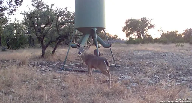 $5,722,800 | 104 SD 14070, Rocksprings, TX 78880