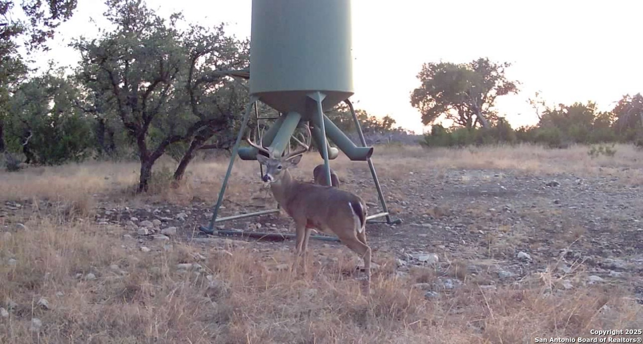 104 SD 14070 Rocksprings, TX 78880 - Photo 64 of 71