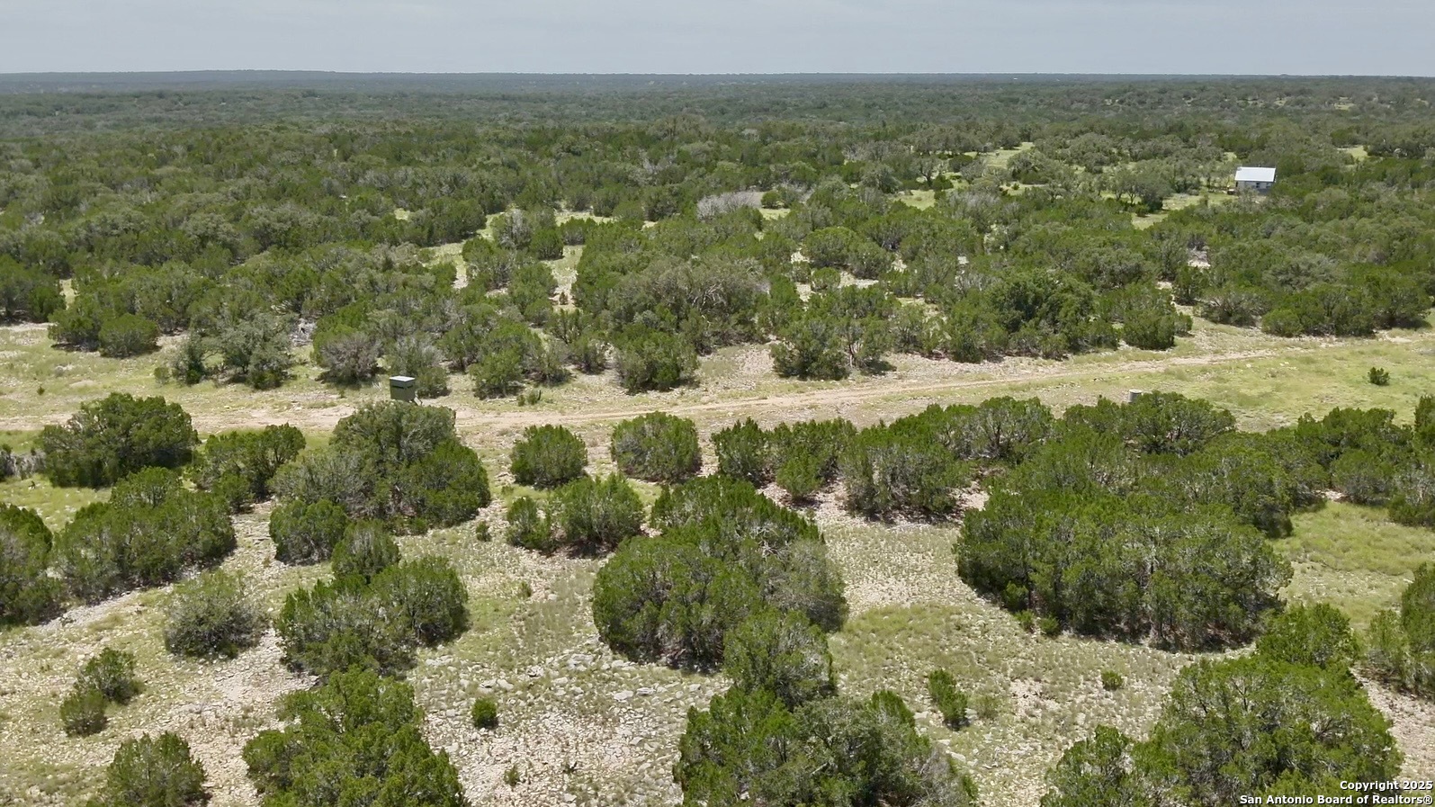 104 SD 14070 Rocksprings, TX 78880 - Photo 65 of 71 a view of a forest with a yard and trees