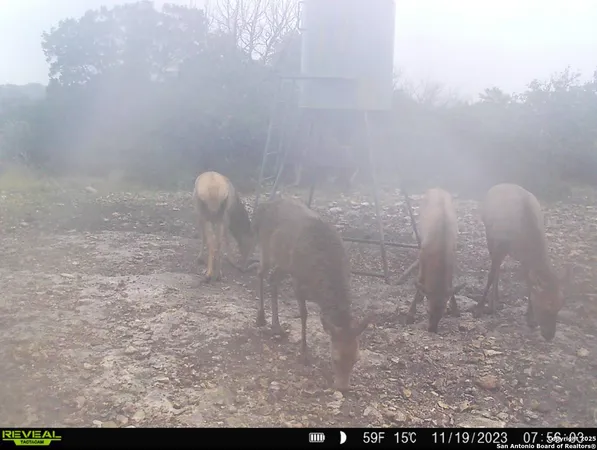 $5,722,800 | 104 SD 14070, Rocksprings, TX 78880