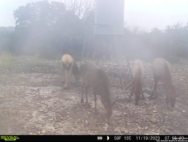 $5,722,800 | 104 SD 14070, Rocksprings, TX 78880