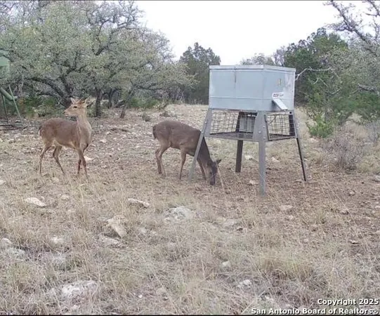 $5,722,800 | 104 SD 14070, Rocksprings, TX 78880