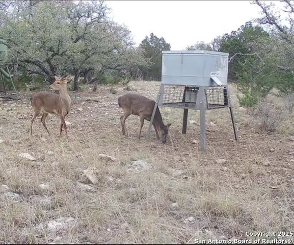 $5,722,800 | 104 SD 14070, Rocksprings, TX 78880