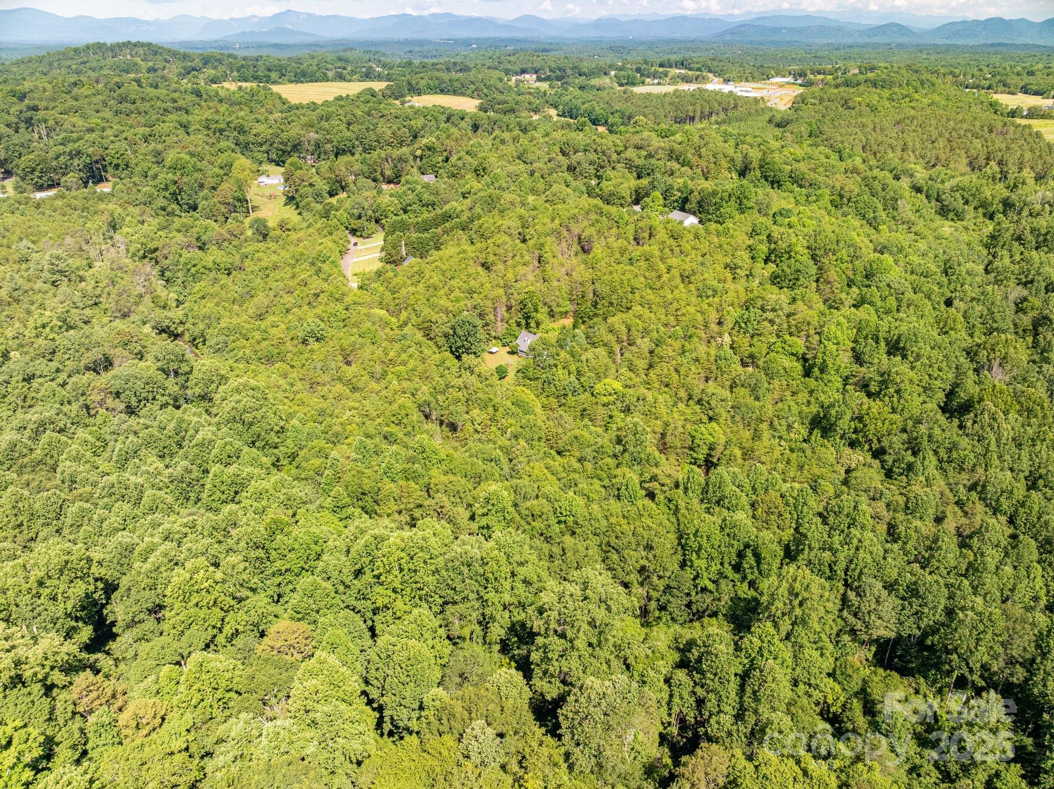 Lot # Meadow Crossing Drive Rutherfordton, NC 28139 - Photo 12 of 13 a view of a yard with an outdoor space