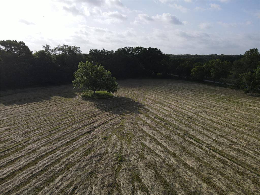 Seven Seven Oaks Road Bonham, TX 75418 - Photo 5 of 21