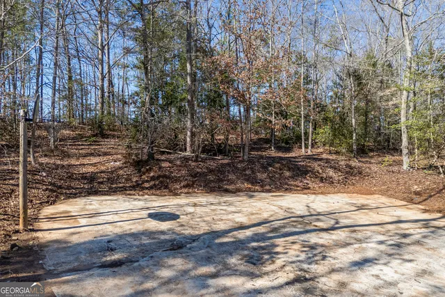 a view of a yard with trees