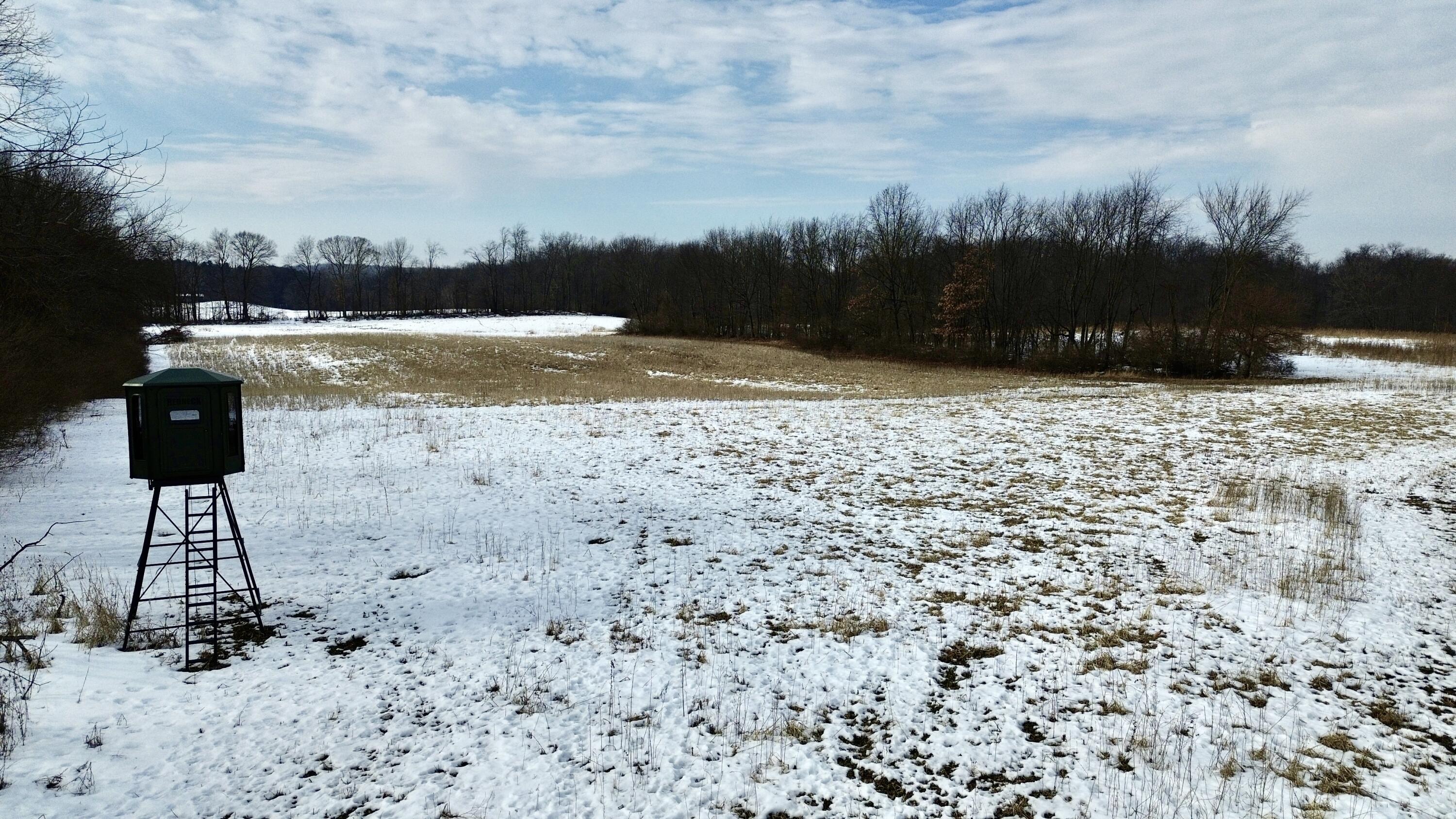 DJI_0381