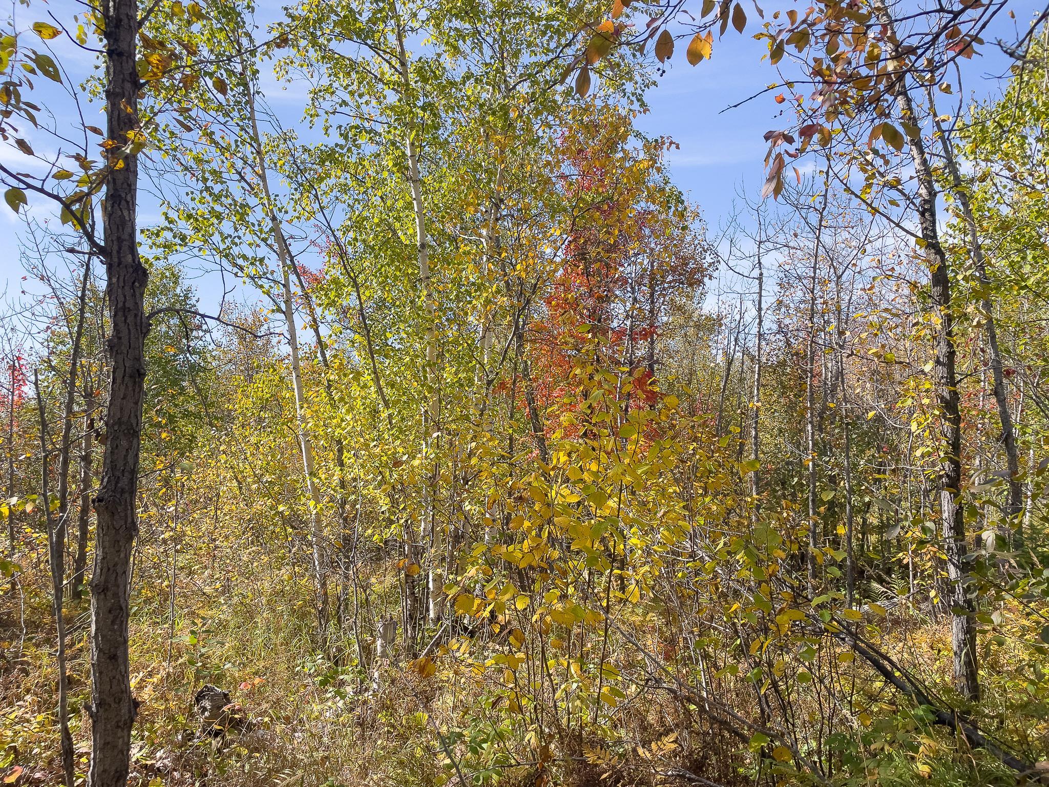 52-xx 52-xx Ramsdell Heights Road Silver Bay, MN 55614 - Photo 17 of 26 Gallery Image 17