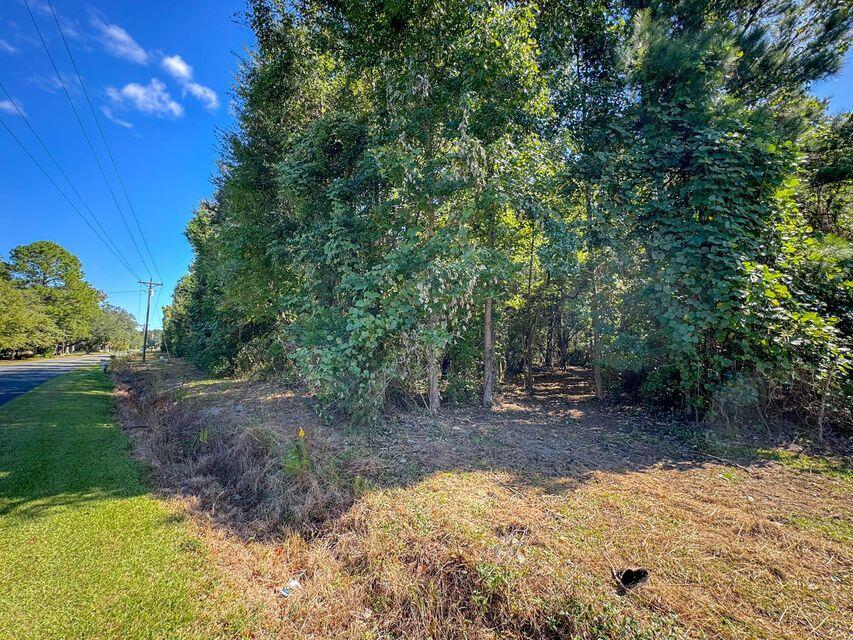 1 Hard Pinch Road Moncks Corner, SC 29461 - Photo 9 of 16