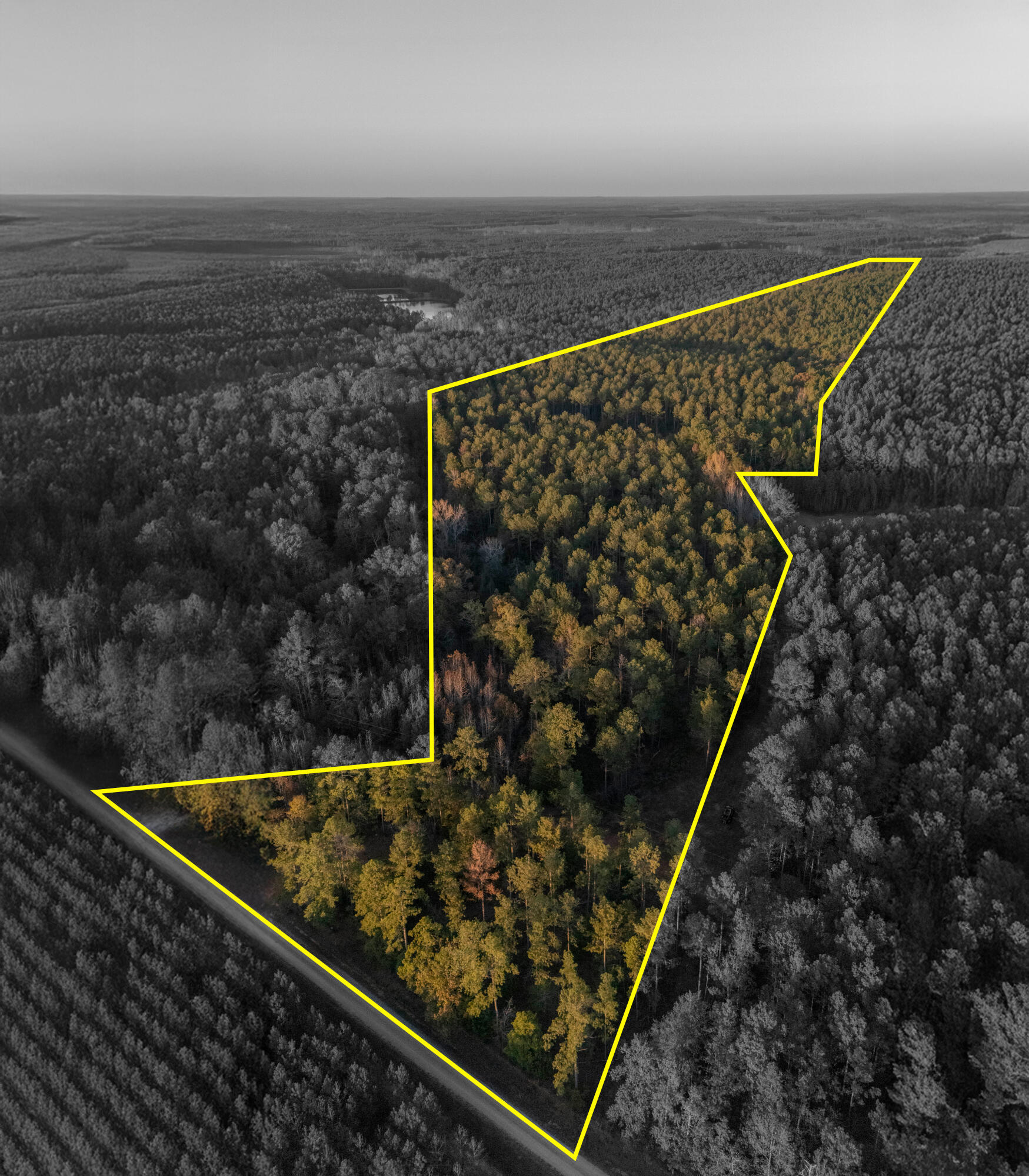 Tbd Barr Chapel Road Edgefield, SC 29824 - Photo 2 of 15