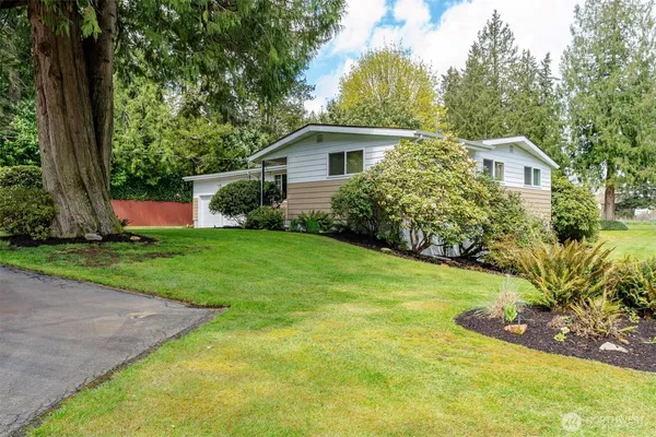 a view of a house with a yard and tree s