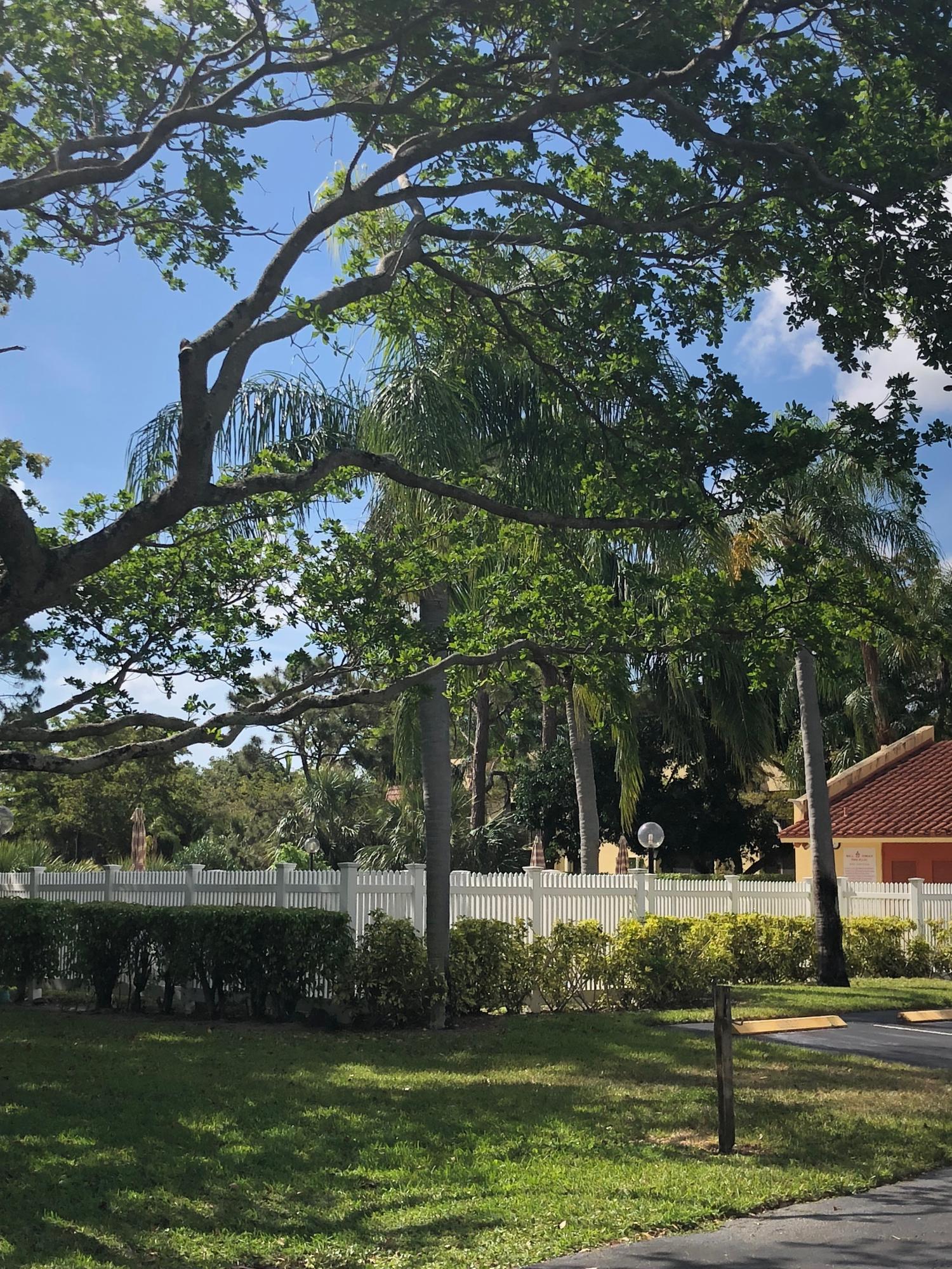 900 Southwest 9th St Circle, Unit 202 Boca Raton, FL 33486 - Photo 14 of 14 pool 900