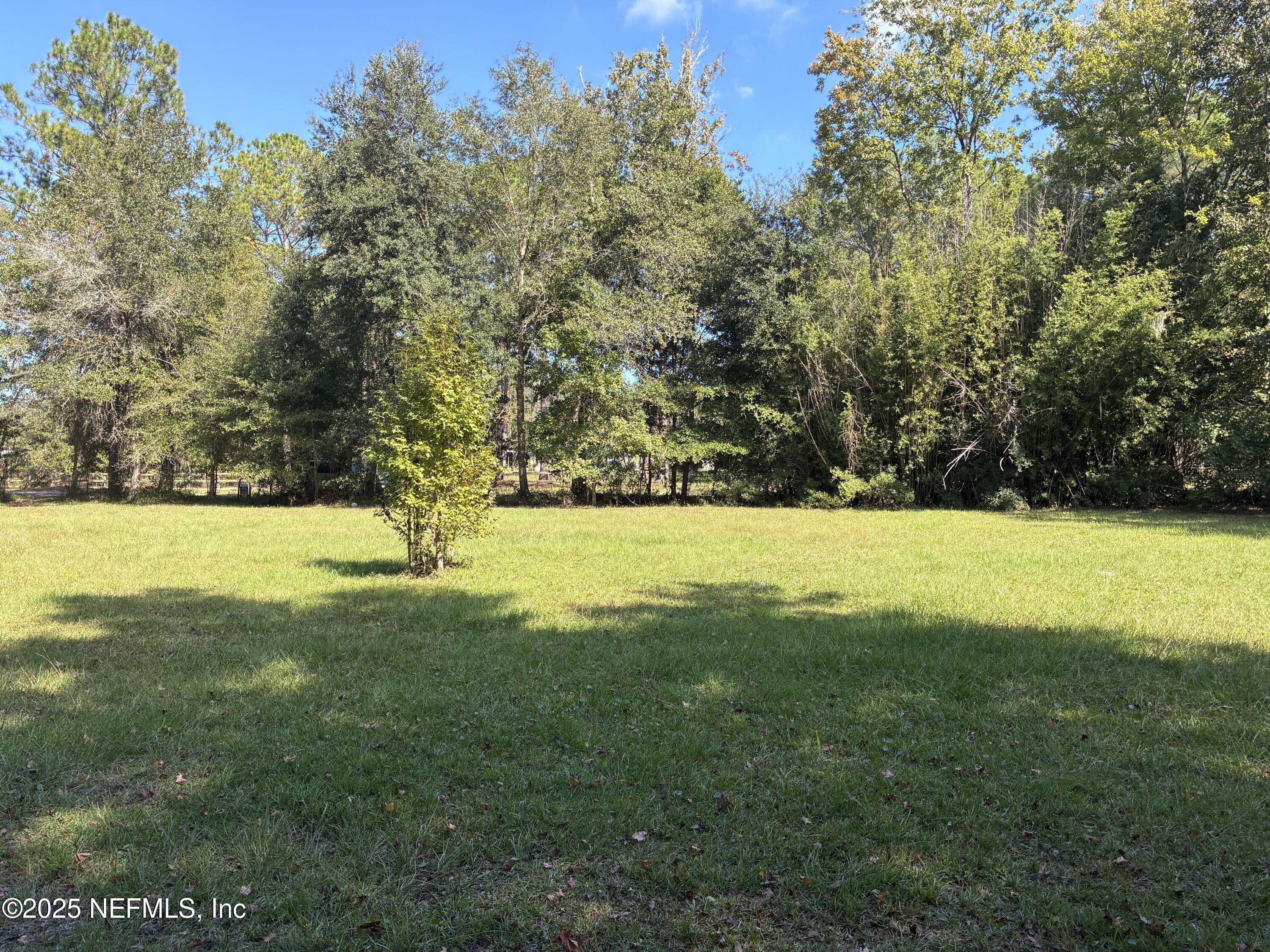 0 Korey's Lane Callahan, FL 32011 - Photo 3 of 12 a view of yard with green space and trees