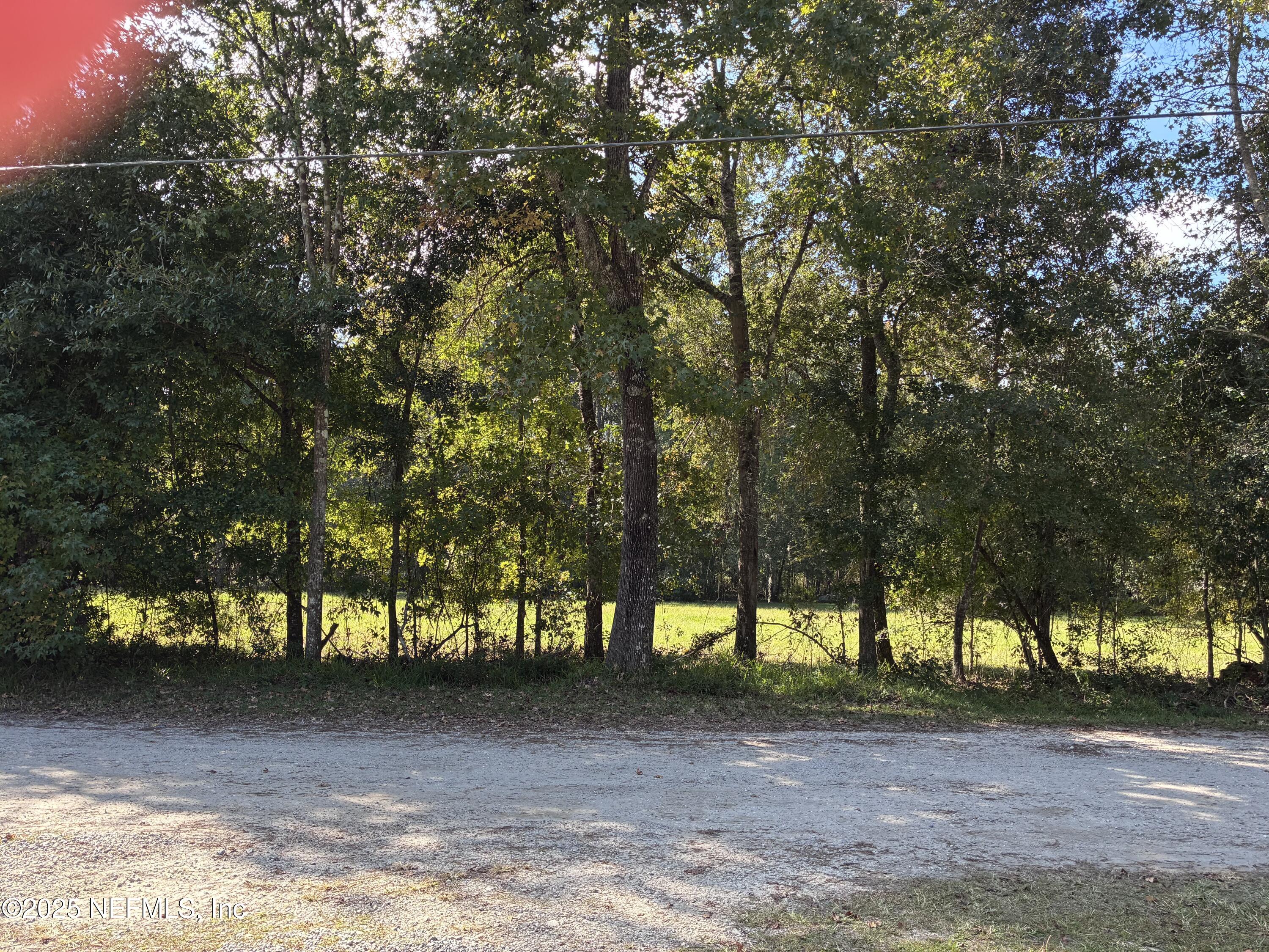 0 Korey's Lane Callahan, FL 32011 - Photo 10 of 12 a view of a yard with a tree