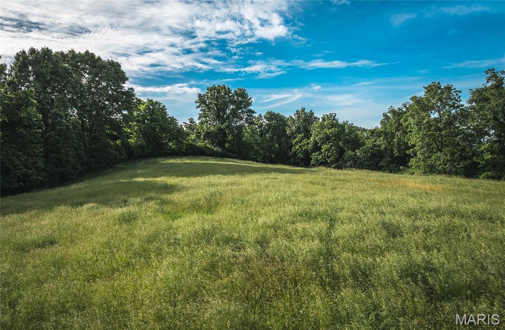 90 Jug Hollow Road Hamburg, IL 62045 - Photo 65 of 68