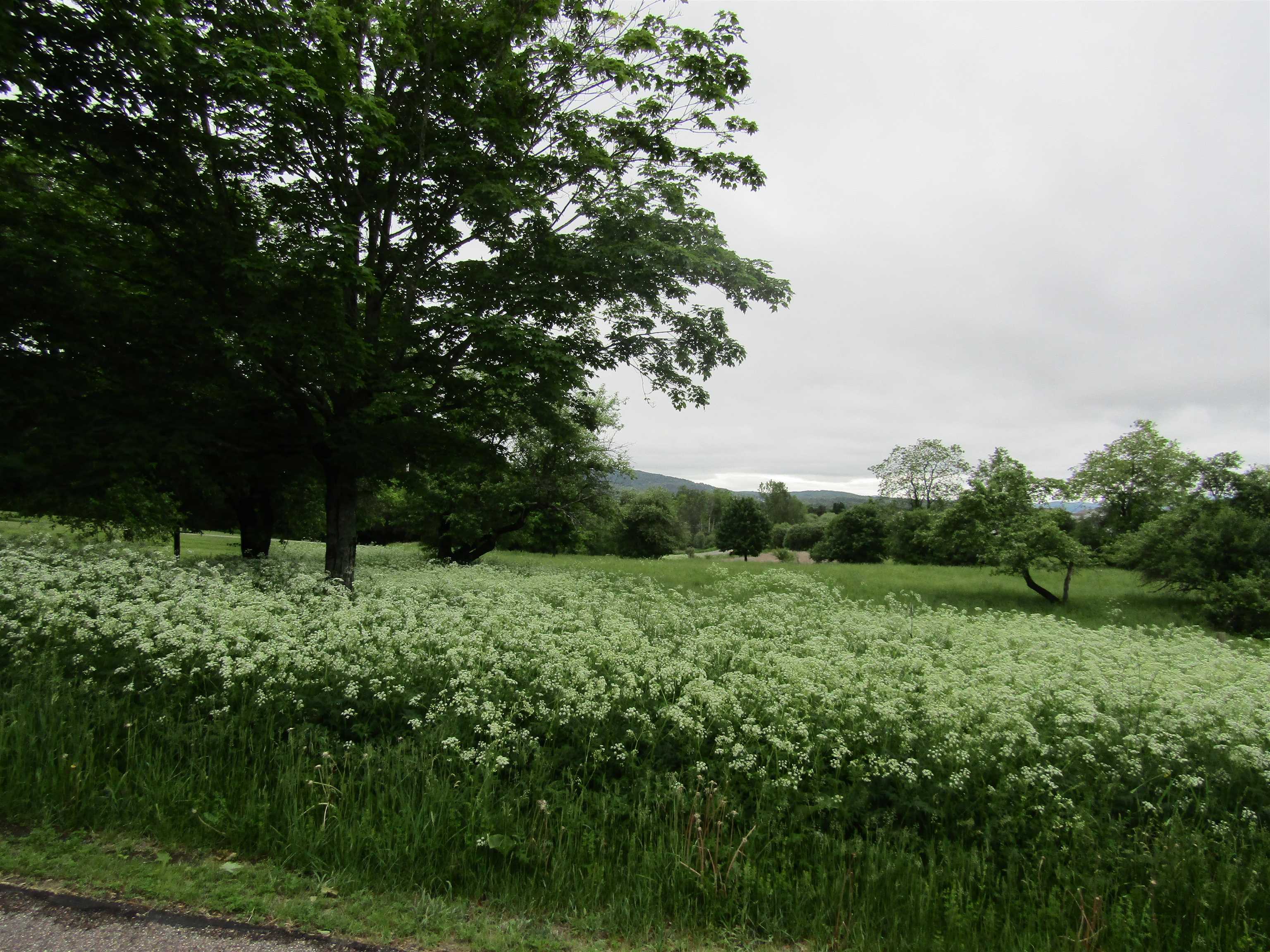 Lot 19 Smith Farm Road Barre, VT 05641 - Photo 2 of 2 Gallery Image 2