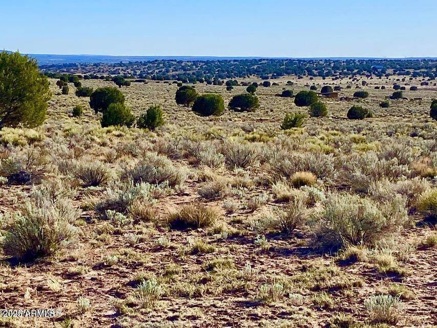 River River Meadows Ranch Snowflake, AZ 85937 - Photo 14 of 22 a view of roof with city view