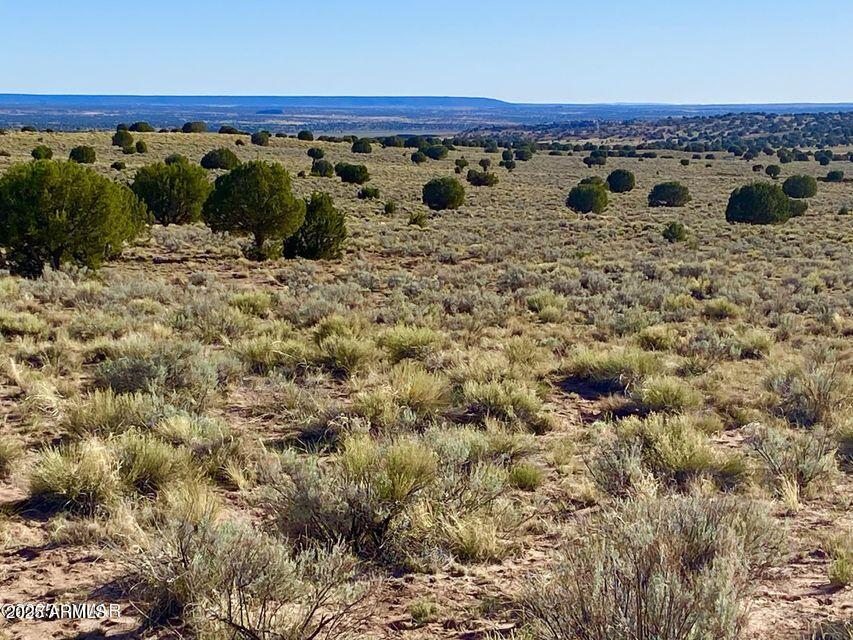 River River Meadows Ranch Snowflake, AZ 85937 - Photo 17 of 22