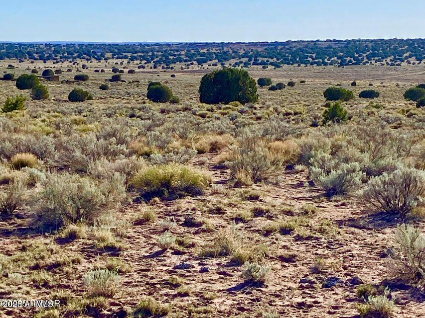 River River Meadows Ranch Snowflake, AZ 85937 - Photo 18 of 22 a view of outdoor space and city view