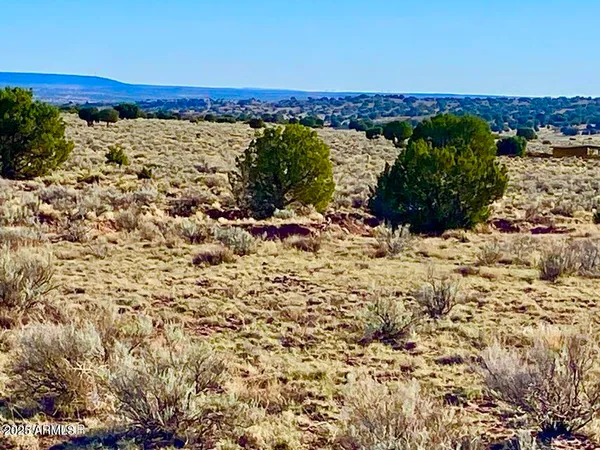 a view of outdoor space and a yard