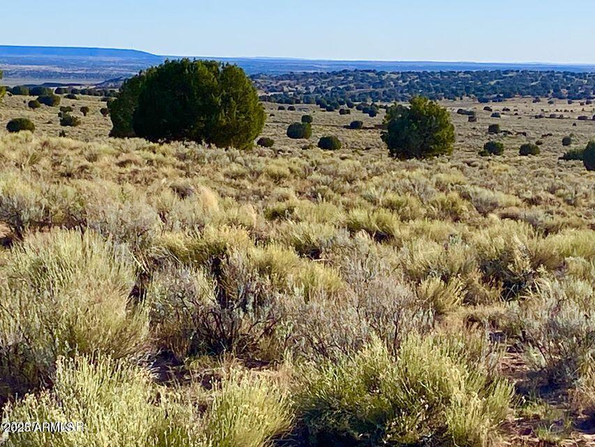 River River Meadows Ranch Snowflake, AZ 85937 - Photo 2 of 22 a view of a bunch of plants and trees with wooden floor