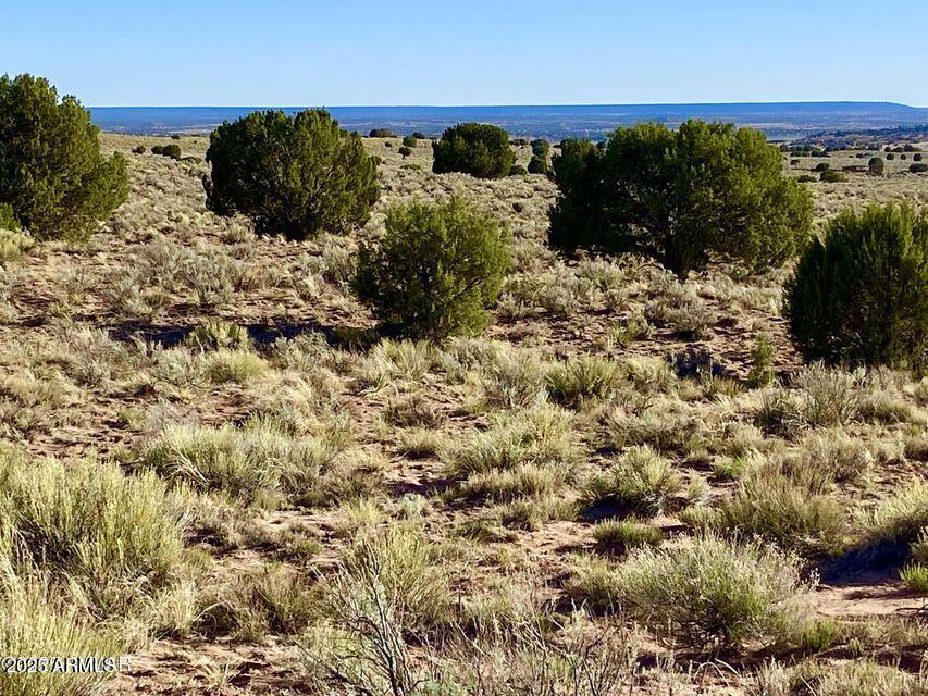 River River Meadows Ranch Snowflake, AZ 85937 - Photo 21 of 22 a view of a lake with a mountain