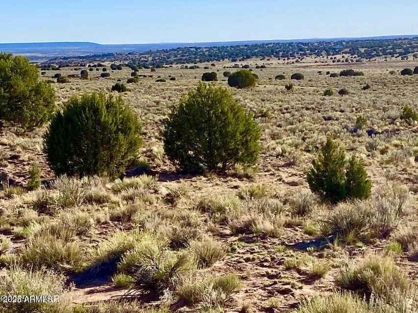 River River Meadows Ranch Snowflake, AZ 85937 - Photo 22 of 22 a view of a yard