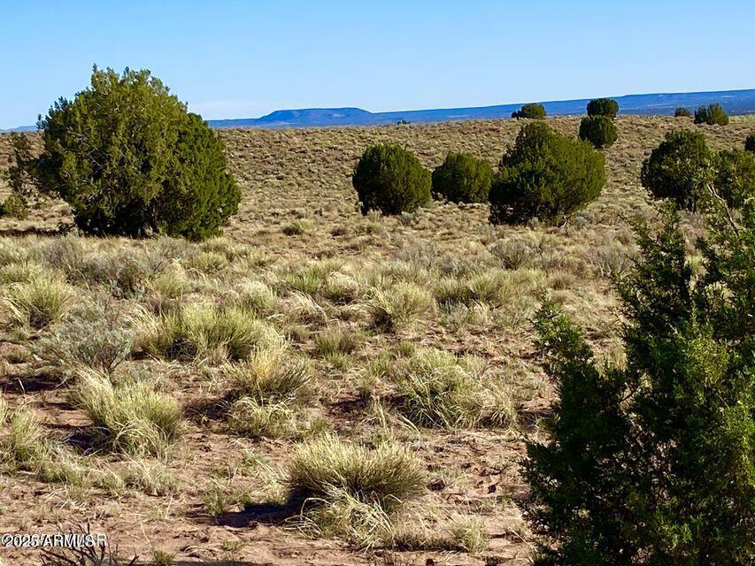 River River Meadows Ranch Snowflake, AZ 85937 - Photo 3 of 22 a view of a lake