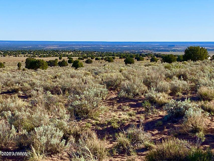 River River Meadows Ranch Snowflake, AZ 85937 - Photo 6 of 22 a view of an outdoor space with wooden floor and lake view